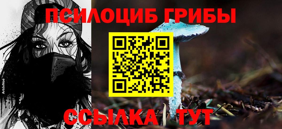 Галлюциногенные грибы GOLDEN TEACHER Выкса